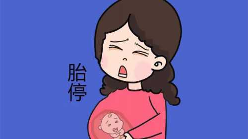 广州麒麟试管婴儿,广州麒麟岗在哪