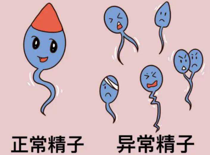广州代生婴儿多少钱,2023
试管二胎医院还要求开计划生育证明吗_上海供卵试管