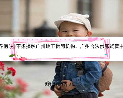 广州哪些代孕医院|不想接触广州地下供卵机构，广州合法供卵试管中心在哪里